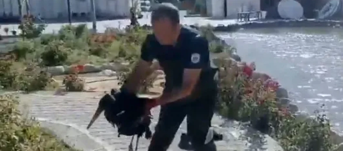 Darende’de yürekleri ısıtan leylek kurtarma operasyonu!