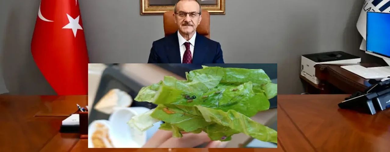 Malatya üniversite yurtlarındaki rezalete kim dur diyecek?