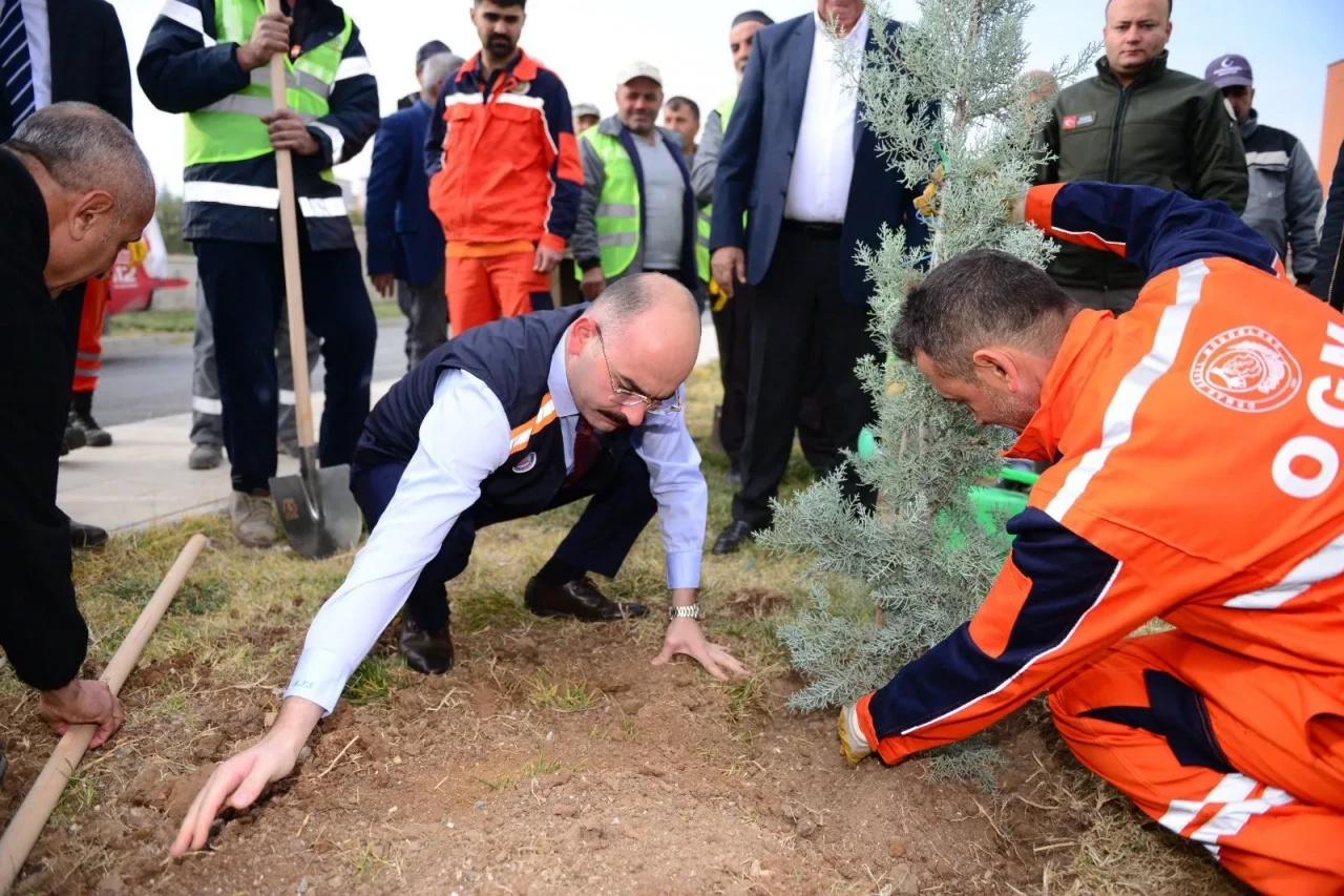 Doğanşehir’de minik eller ağaç gününde geleceği dikti!