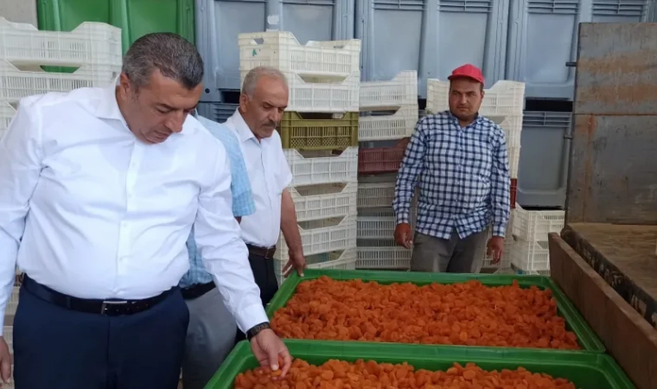 “Sahte kayısı var iddiaları “ varken Başkan “depo” dedi!