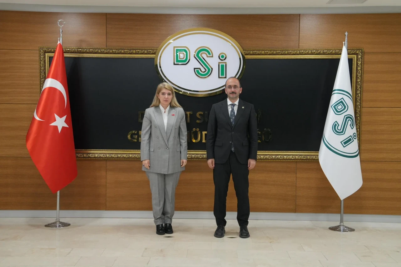 MİLLETVEKİLİ ÖLMEZTOPRAK, DSİ GENEL MÜDÜRÜ BALTA İLE GÖRÜŞTÜ