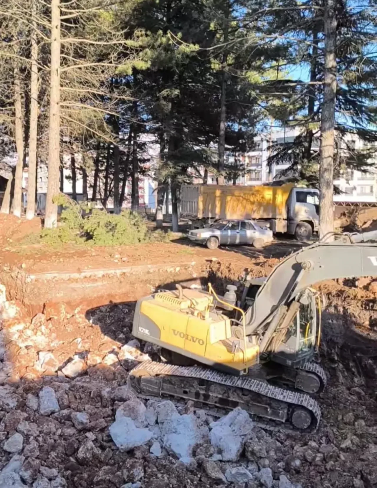 Malatya’da ağaç katliamı dönüşüm diye her geçen gün artıyor!