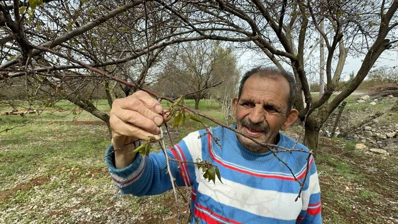 Çiftçi için devlet yerinde sayarken İş Bankasından atak geldi!
