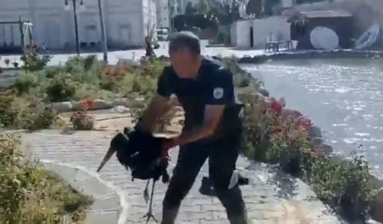 Darende’de yürekleri ısıtan leylek kurtarma operasyonu!