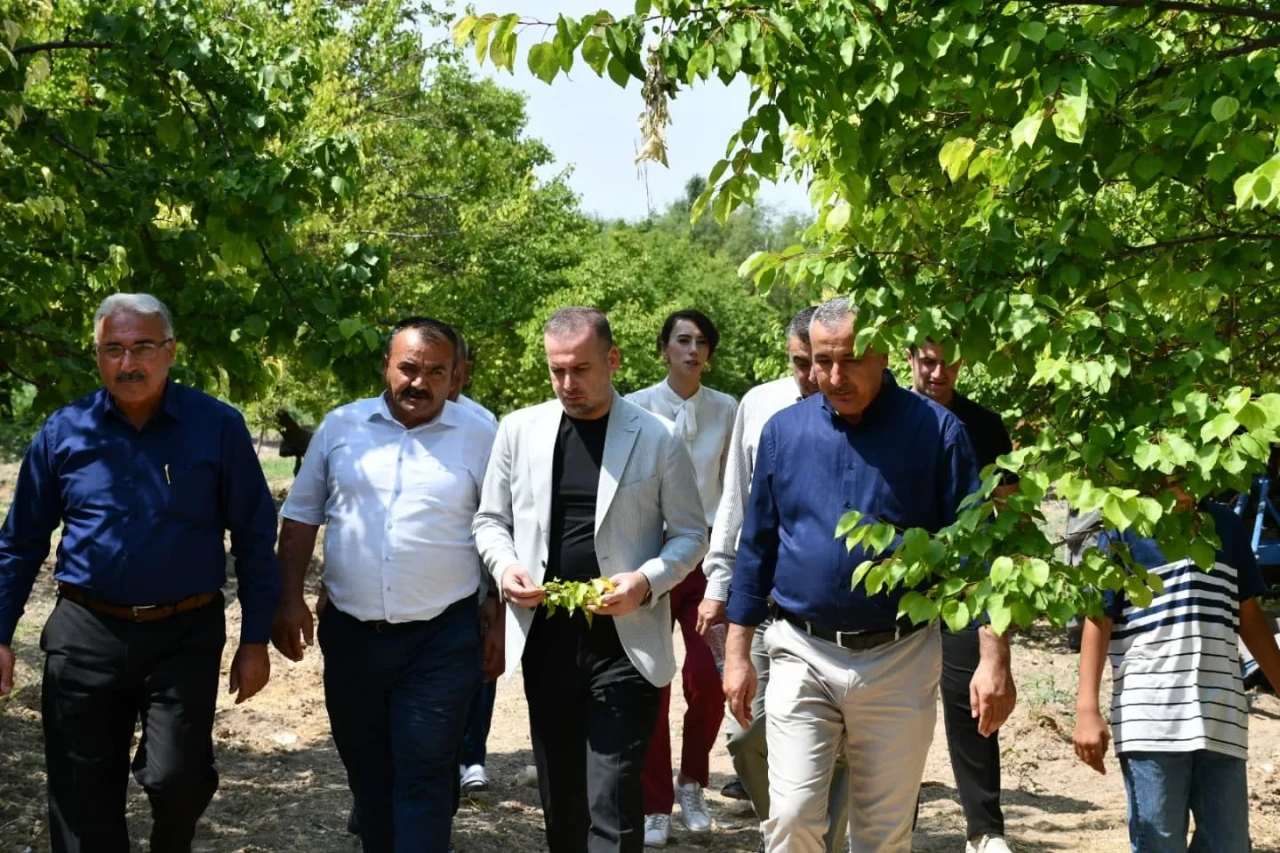Salih Karademir sosyal medyadan bu kez kayısıya sahip çıktı