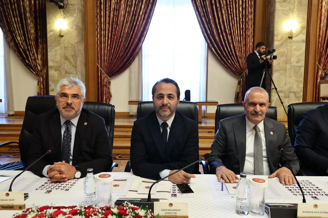 Babacan: "Milli Dayanışma Komisyonu şeffaflık ilkesiyle çalışacak"