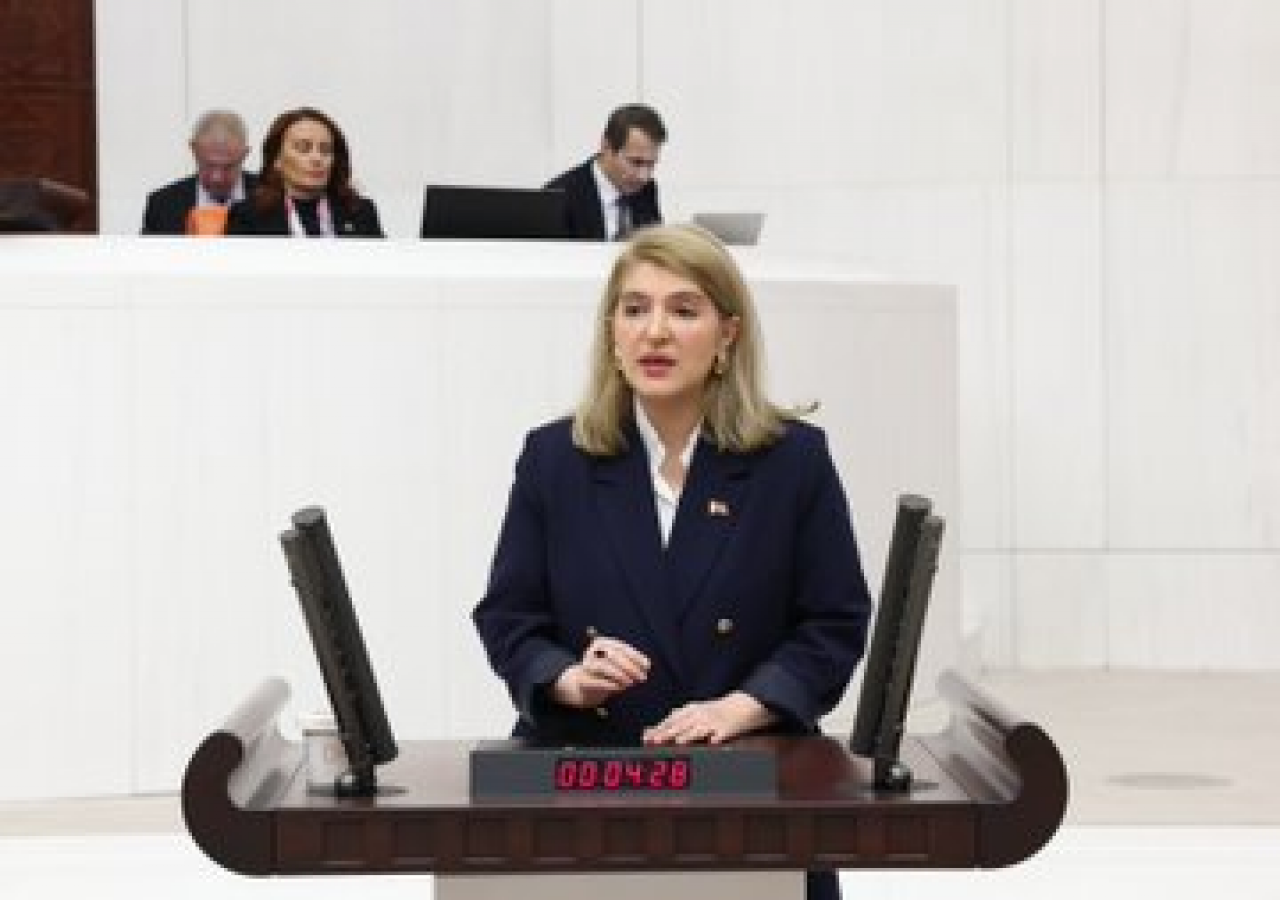 ÖLMEZTOPRAK'TA KAYISIYI MECLİSE TAŞIDI