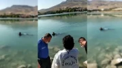 Orduzu'da göletteki kadın cesetti öğrencileri korkuttu!