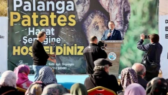 Darende Kayısıyla Değil, Artık Patatesiyle de Anılacak!