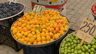 Malatya'da kayısı 100 liradan tezğahlara indi vatandaş şaşkın!
