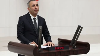 Pütürge'nin maden sorunu DEM Parti tarafından TBMM Gündemine alındı