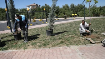 Battalgazi’de Parklar Yenilendi, Yeşil Alanlar Genişledi