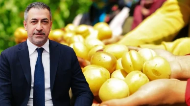 Milletvekilinden kayısı için şaka gibi sözler geldi!