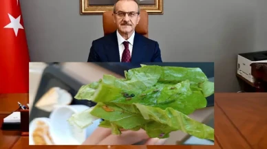 Malatya üniversite yurtlarındaki rezalete kim dur diyecek?