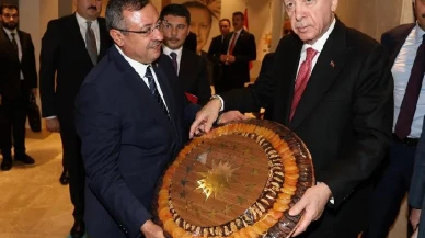 Ak Partili Bakan Cumhurbaşkanı Erdoğan’a kayısı götürdü