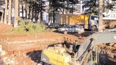 Malatya’da ağaç katliamı dönüşüm diye her geçen gün artıyor!