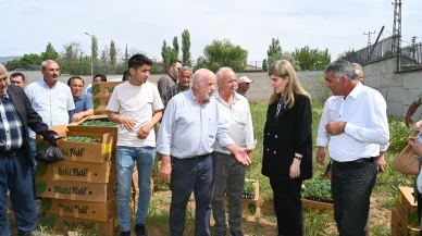 Milletvekili Ölmeztoprak Doğanşehir'de üreticiler ile buluştu
