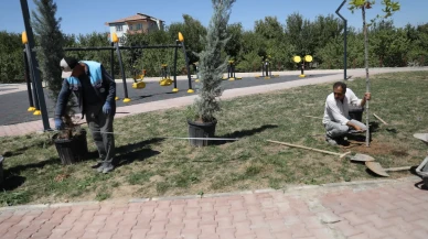 Battalgazi’de Parklar Yenilendi, Yeşil Alanlar Genişledi