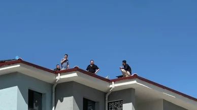 Malatya'da İşçi “Alacağımı vermiyorlar” diyerek ölmek istedi!