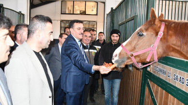BÜTÜN SORUNLAR BİTTİ ATLAR KALDI!