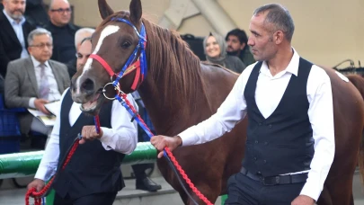 Şampiyon 10 milyon 500 bin lira ile "Hızlı Yasin" oldu!