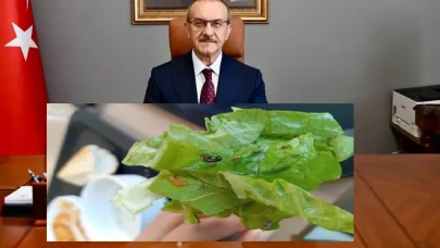 Malatya üniversite yurtlarındaki rezalete kim dur diyecek?