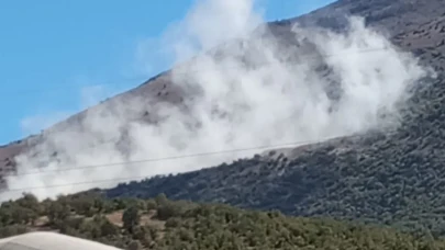 Doğanşehir'den Almanya’ya uzanan taş ocağı tepkisi!