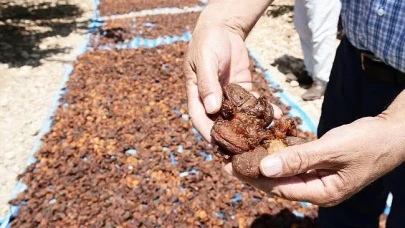 Enver Kiraz:  “Malatya dibe vurdu, siz hâlâ seyrediyorsunuz”