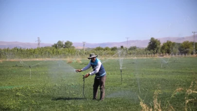 Malatya Battalgazi'de boş alanlar yeşil alana dönüyor!