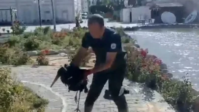 Darende’de yürekleri ısıtan leylek kurtarma operasyonu!