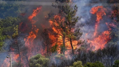 Vali Seddar Yavuz vatandaşları “Duyarsızlıkla” suçladı