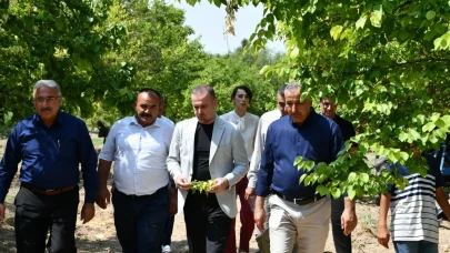 Salih Karademir sosyal medyadan bu kez kayısıya sahip çıktı