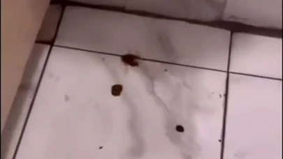 Malatya’da Üniversiteli  bu  çocukların sesini kim duyacak?