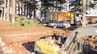 AĞAÇ KATLİAMI SONRASI DOZER GİRDİ!