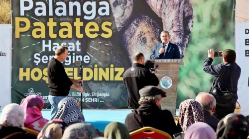 Darende Kayısıyla Değil, Artık Patatesiyle de Anılacak!