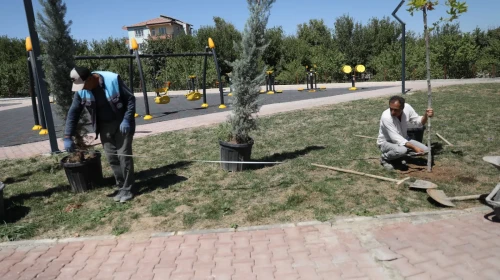 Battalgazi’de Parklar Yenilendi, Yeşil Alanlar Genişledi