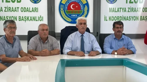 Malatya Kayısısında Rezalet! İran ve Özbek Kayısıları Piyasada!
