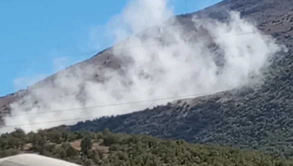 Doğanşehir'den Almanya’ya uzanan taş ocağı tepkisi!