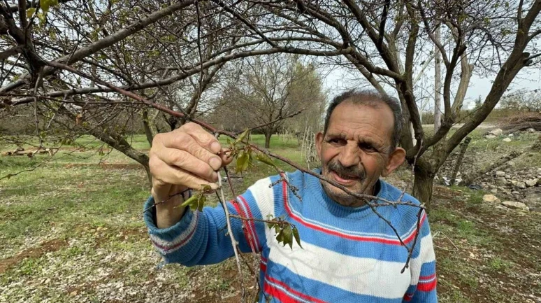 Çiftçi için devlet yerinde sayarken İş Bankasından atak geldi!