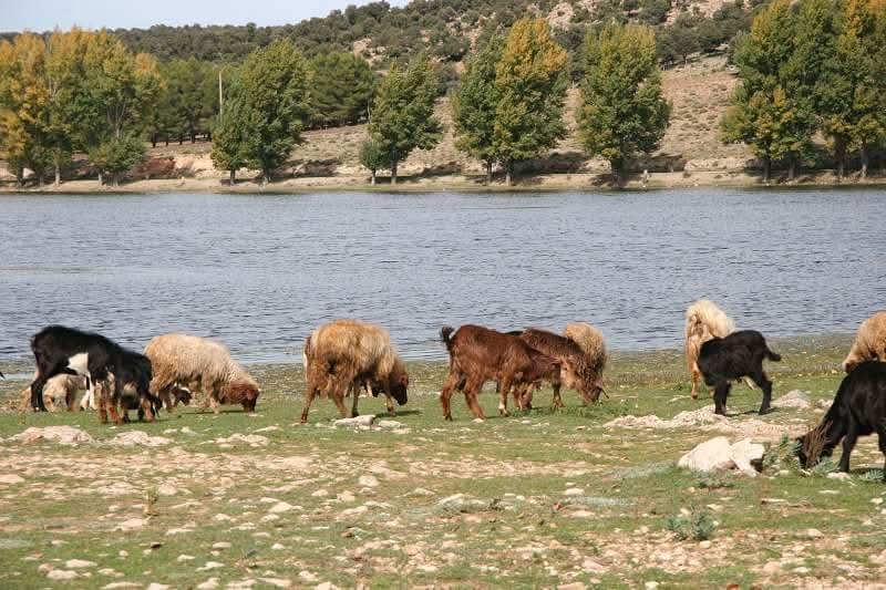 Doğanşehir'de maden ocaklarına karşı tepki büyüyor!