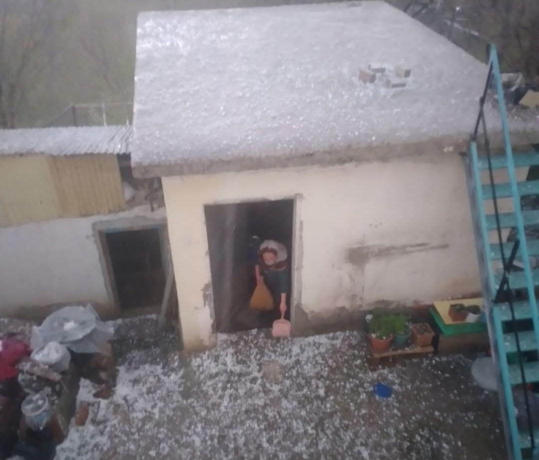 Malatya’da Kayısıyı Dolu Vurdu: Üretici Zor Durumda!