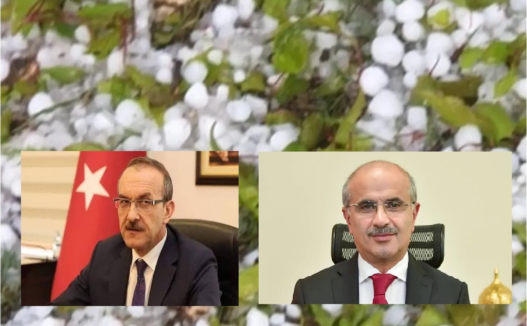 Malatya’da Kayısı Alarmı: Vali Yavuz Hasar Tespiti Talimatı Verdi