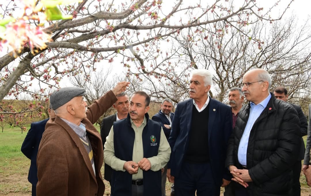 Malatya’da Afet Gibi Dolu: Bahçelerde Büyük Kayıp