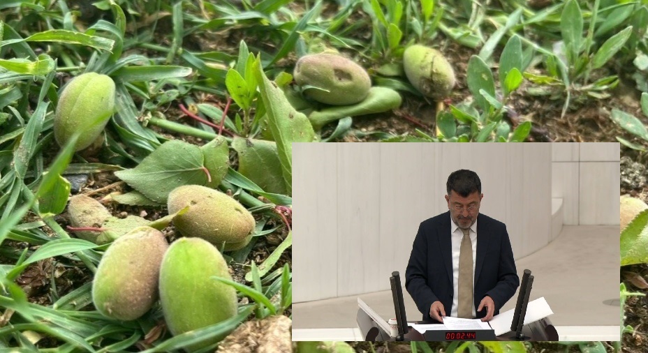 Ağbaba’dan Meclis’te Sert Çıkış: “Malatya’yı Don, Dolu ve Faiz Vurdu!”