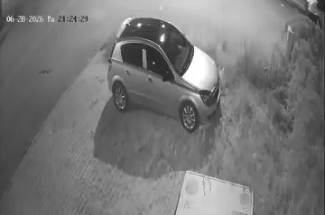 Malatya'da Gündüz Vakti Yolda Yılan Paniği