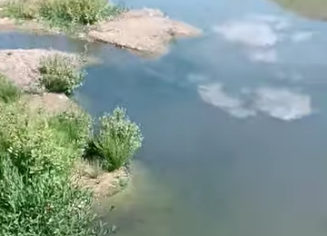 Doğanşehir'de korkutan iddia! Lağım suyu baraja mı akıyor?
