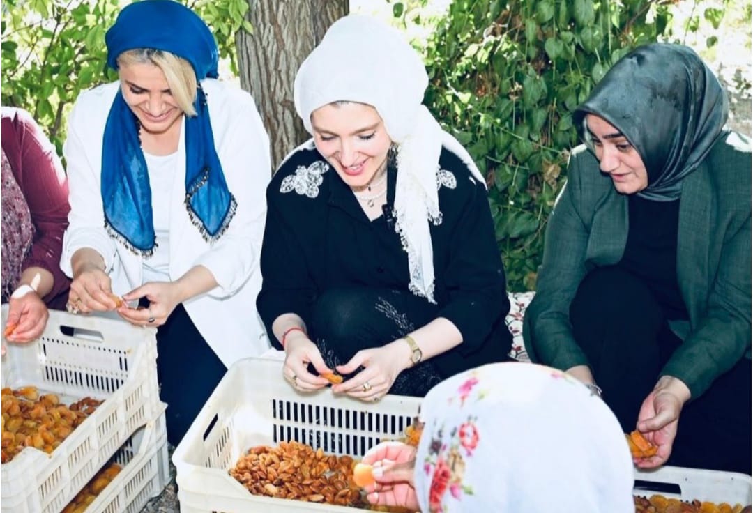 Doğal Gaz Bekleyen Vatandaş, Patik Yapan Vekil!