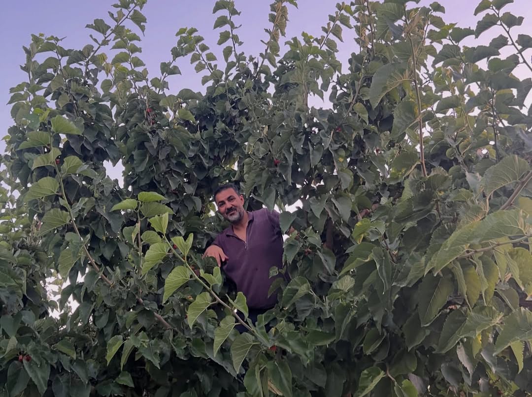 Bilal Yıldırım: