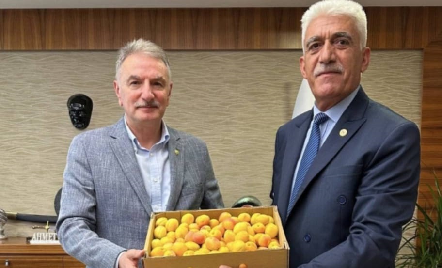 Kayısı Alımı İçin Ankara'da Kritik Görüşme!