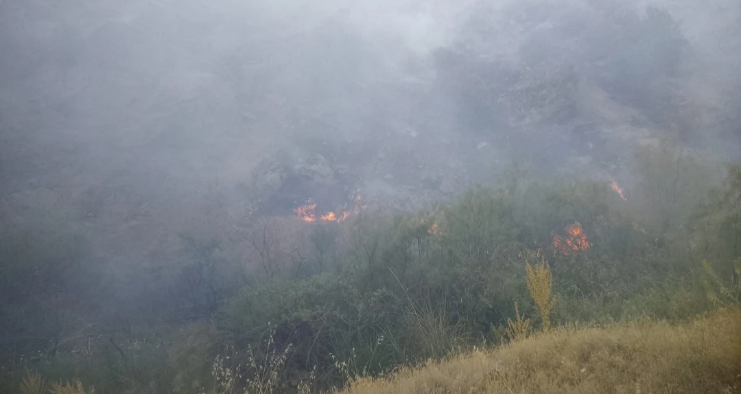 Pütürge'deki Yangında Son Durum! Valilikten Resmî Açıklama